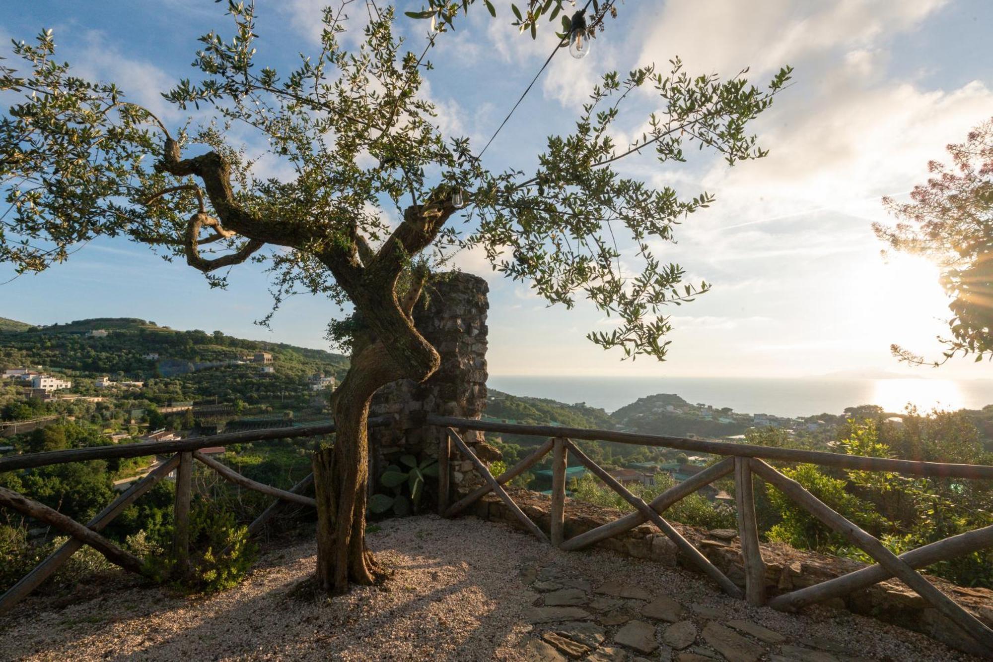 Villa il Turro Massa Lubrense Esterno foto