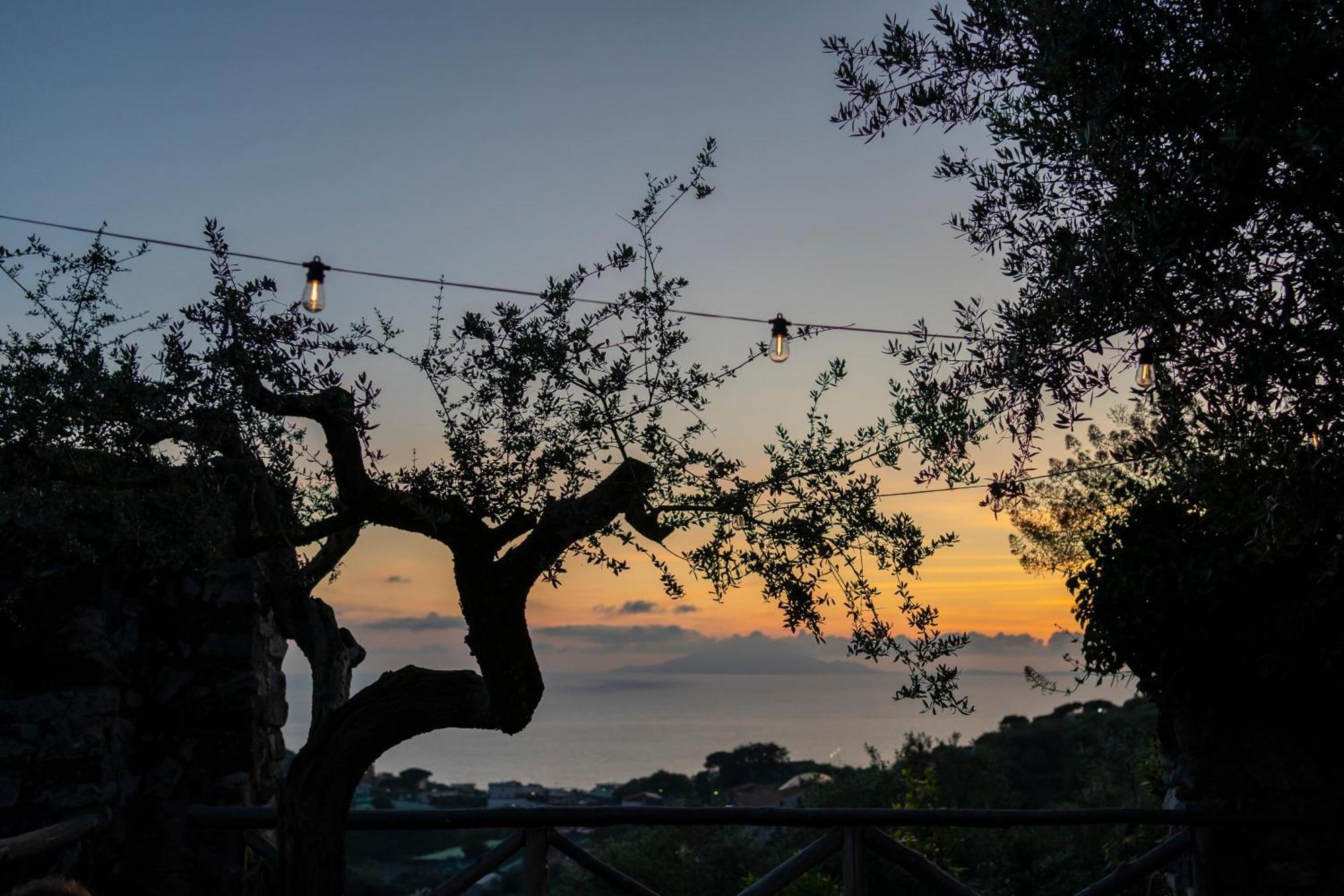 Villa il Turro Massa Lubrense Esterno foto