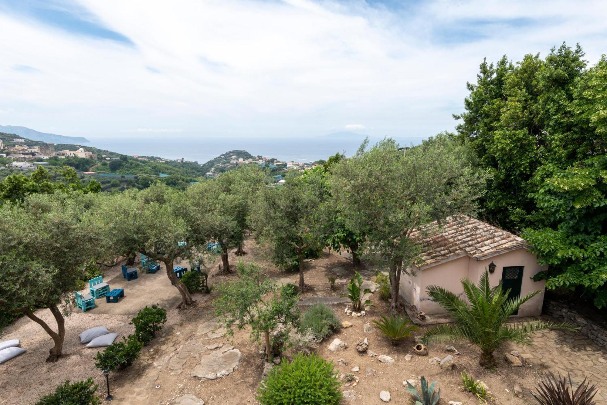 Villa il Turro Massa Lubrense Esterno foto